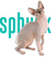 raca-sphynx